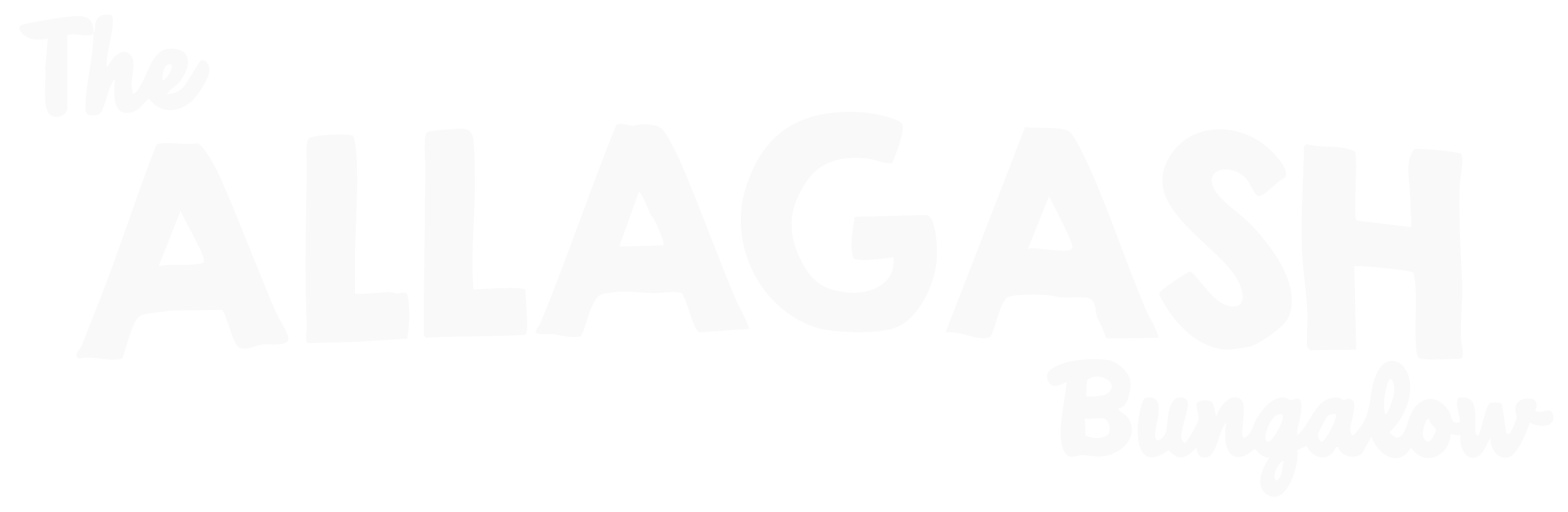 Allagash Brewing Bungalow